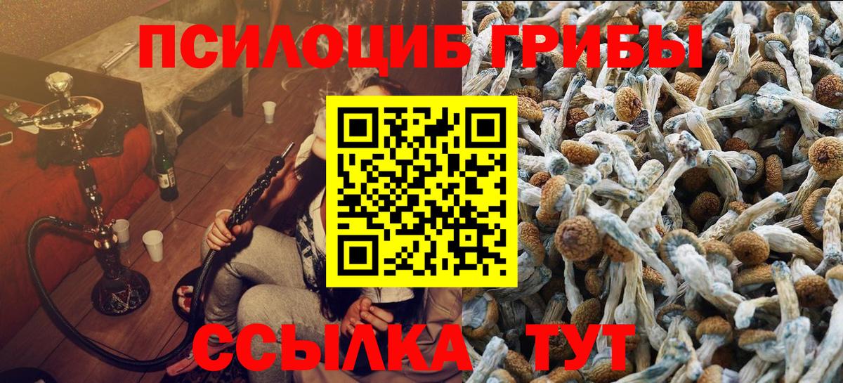 Псилоцибиновые грибы Magic Shrooms Карабулак