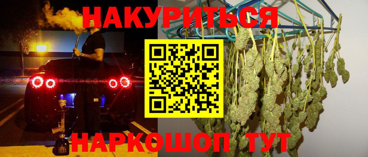 Бошки марихуана планчик  Марихуана план  Вход с VPN  Бошки марихуана AK-47  Карабулак 